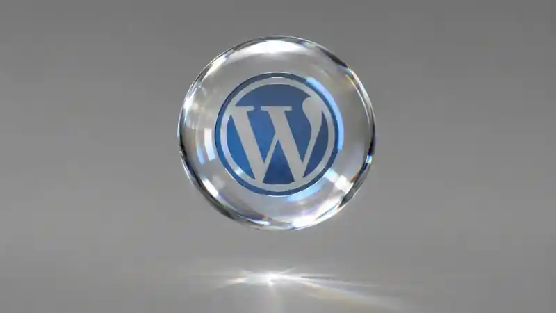Alasan Kenapa Kami Tidak Menggunakan WordPress